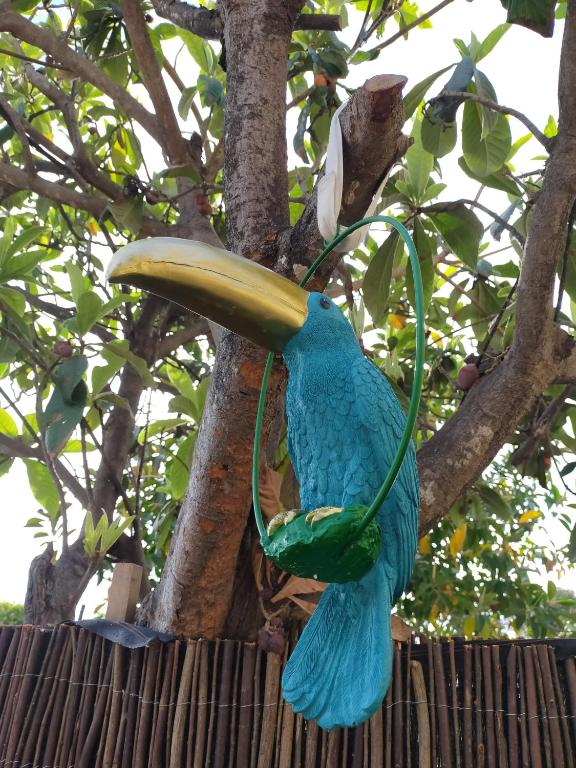 a large blue and green bird hanging from a tree at Casa Francesca Altea piscina y aparcamiento privado in Altea