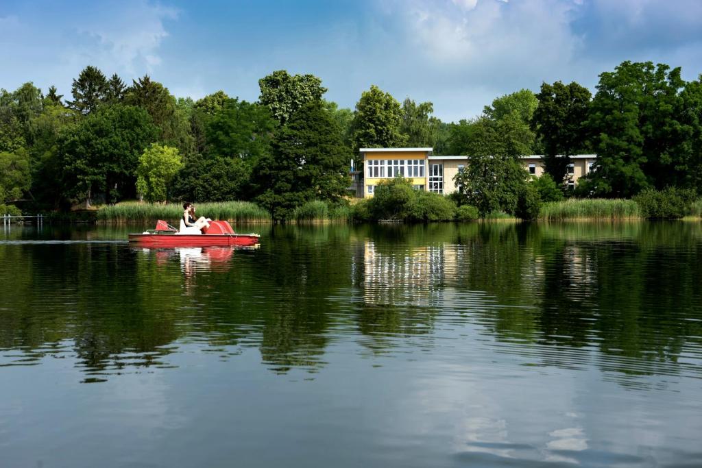Příroda nedaleko hostelu