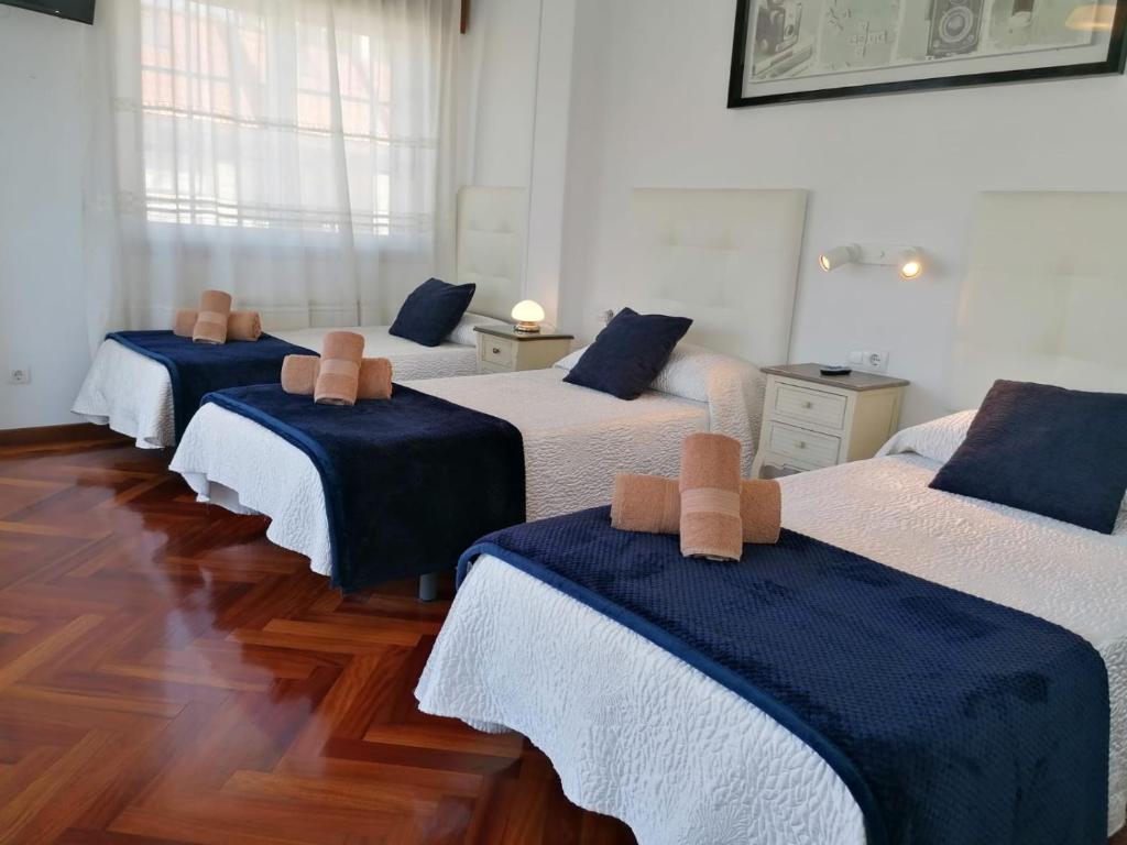 PR Una Estrella Dorada, O Pedrouzo – Updated 2022 Prices