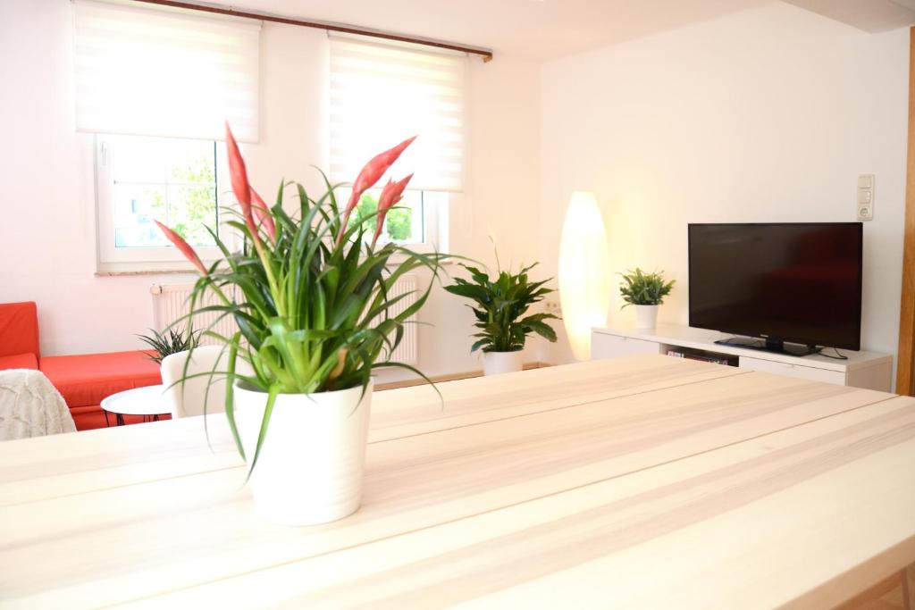 uma sala de estar com uma mesa com plantas em #Hoenepartment - TimeOut Waldhessen - bis zu 8 Pers. em Hönebach