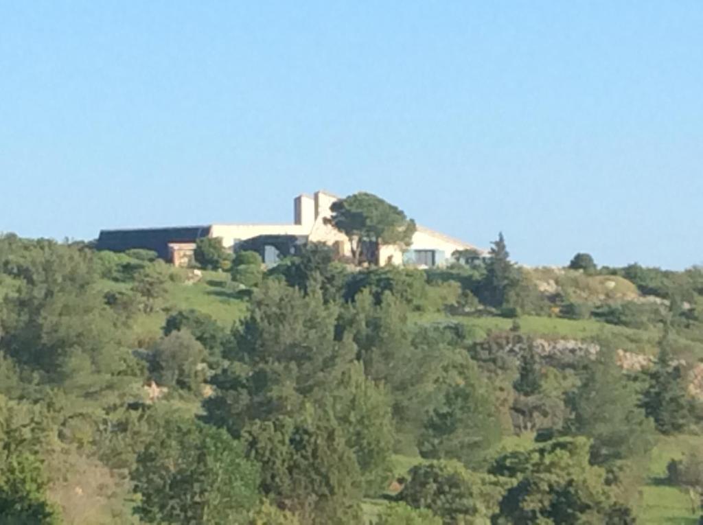 a house on top of a hill with trees at Domaine Castelsec in Roquefort-des-Corbières