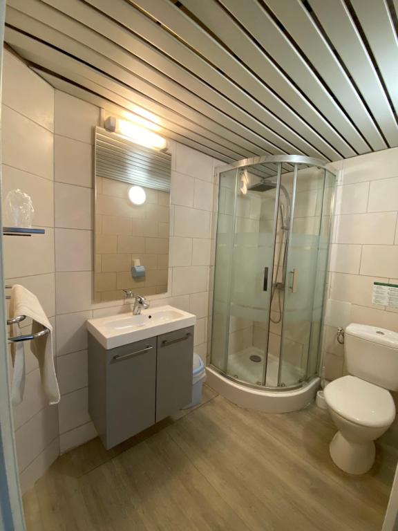 ein Bad mit einer Dusche, einem Waschbecken und einem WC in der Unterkunft Hotel du Centre Lucé Chartres in Lucé