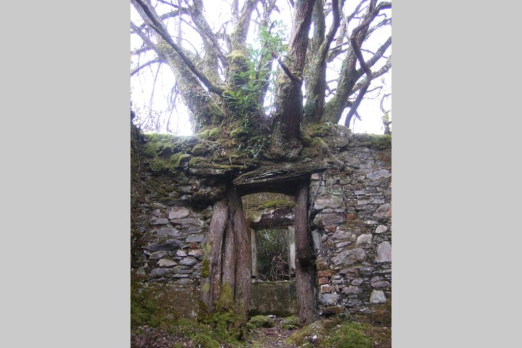 Fotografie z fotogalerie ubytování Woodford Guest House in old farm v destinaci Killarney