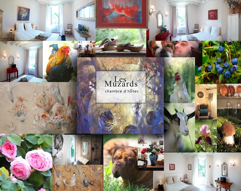 un collage de photos d'une pièce avec des animaux et des fleurs dans l'établissement Les Muzards, à Châtel-Montagne