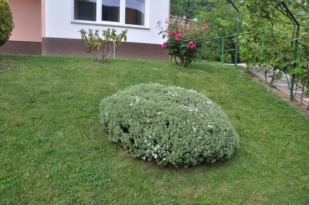 Aed väljaspool majutusasutust Rezidenca Ervin