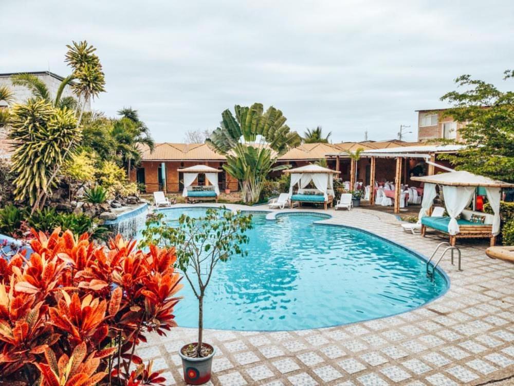 a swimming pool in a yard with chairs and trees at Tuzco Lodge in Puerto López