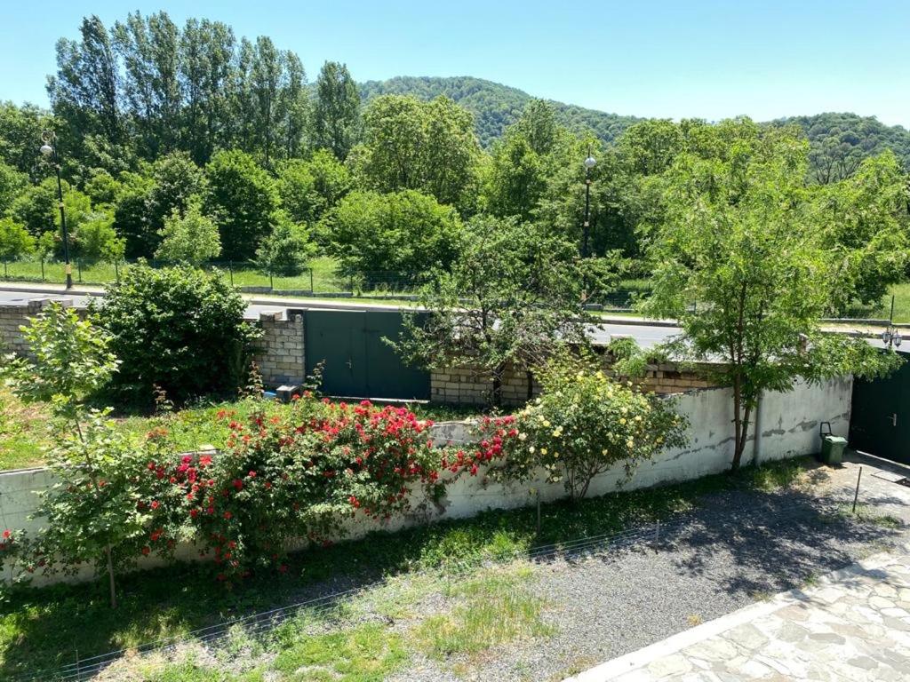 Apartments Firuze - Apartment With Mountain View