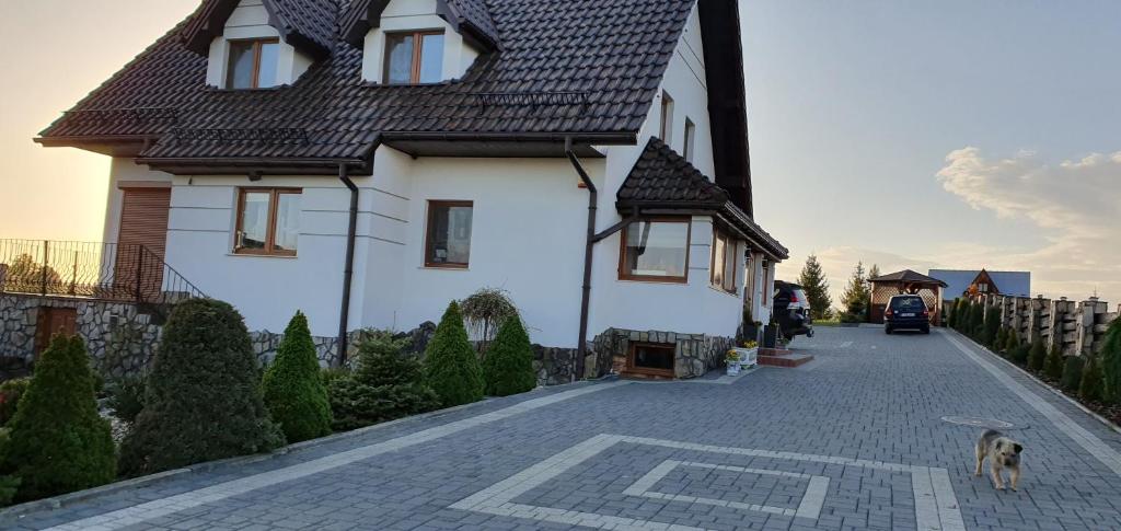 Domáce zviera alebo zvieratá hostí v ubytovaní Agroturystyka Piekielnik