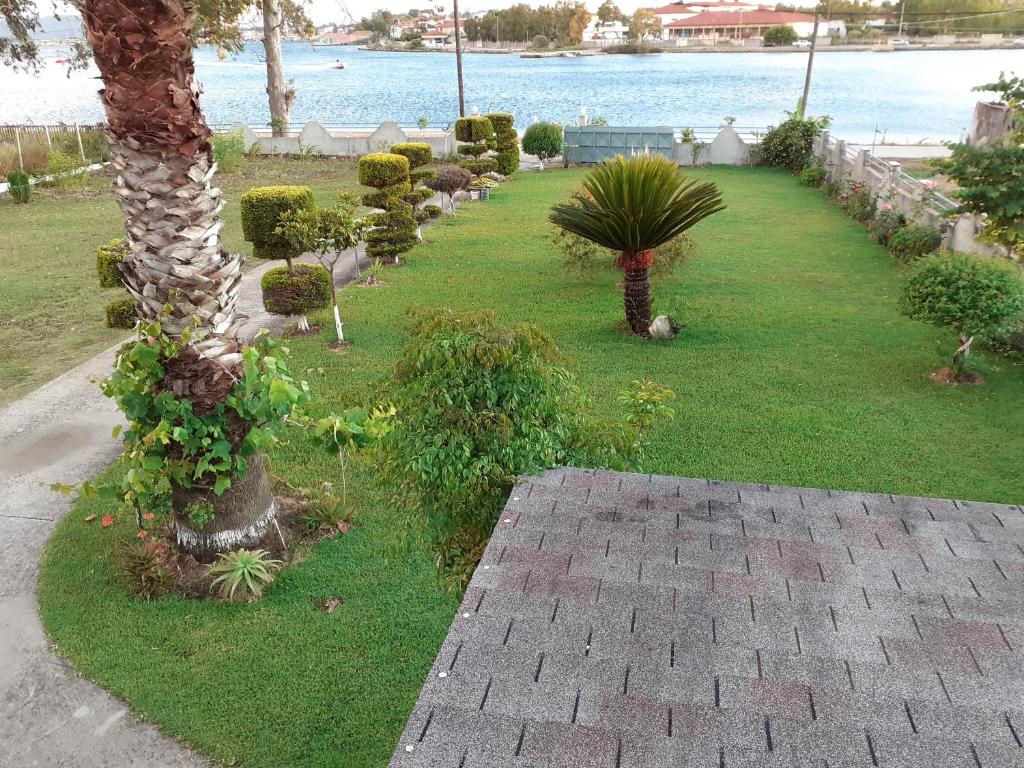 a garden with plants and a palm tree and the water at Top floor on villa, 3' from center, by the sea! Host is Efi Kwsta in Preveza