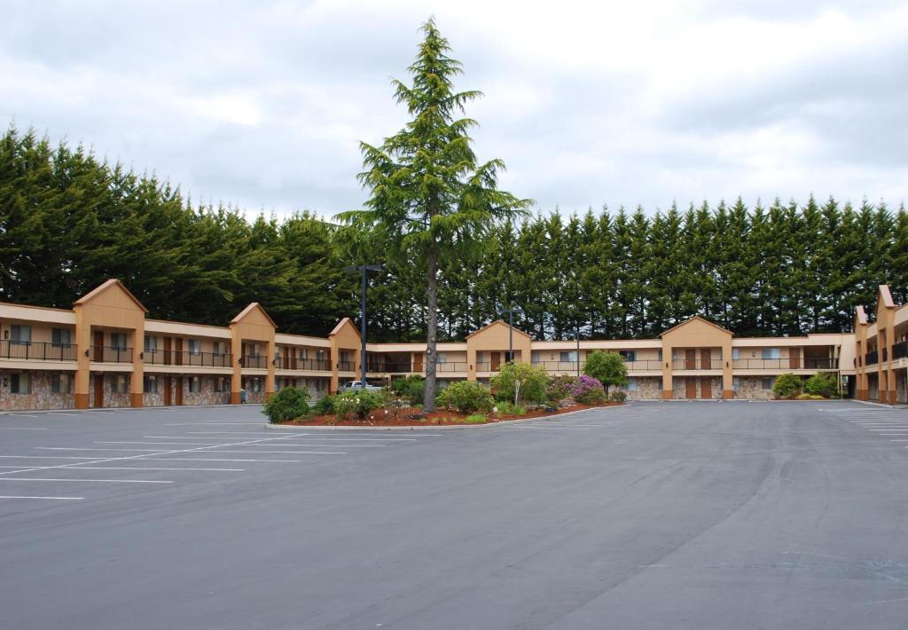 a large parking lot with a tree in the middle at McMinnville Inn in McMinnville