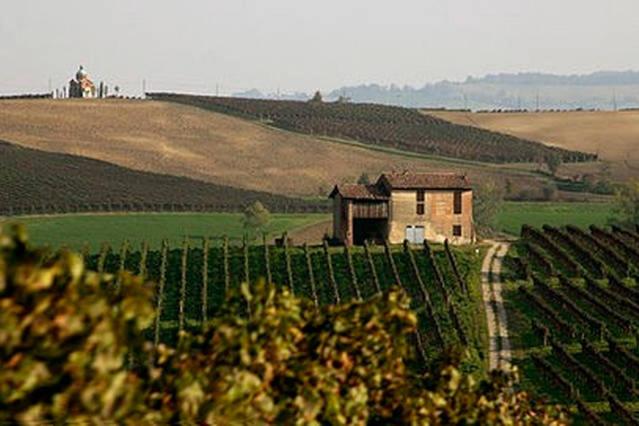 a vineyard with a building in the middle of a field at Casa Morelli in Montalbo