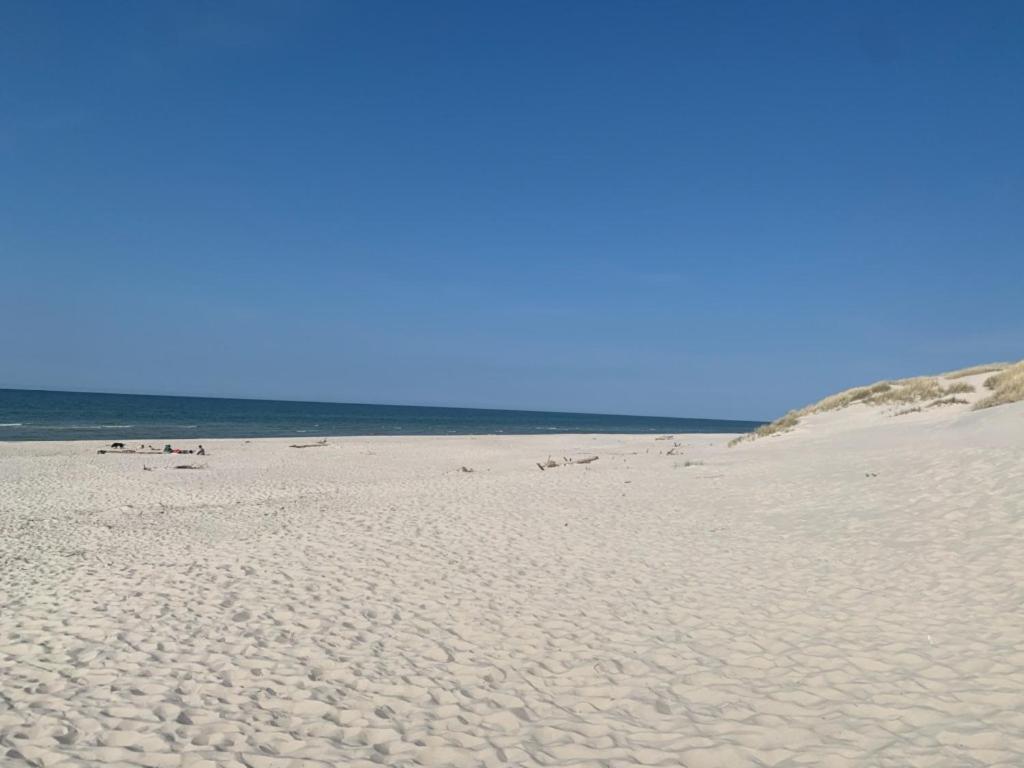 a sandy beach with the ocean in the background at Smołdziński Forest in Smołdziński Las