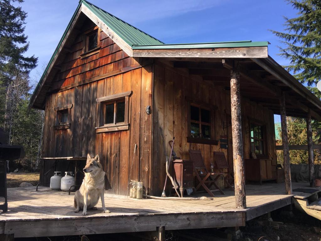 a dog sitting in front of a wooden cabin at Maple Heart Ranch in Shawnigan Lake