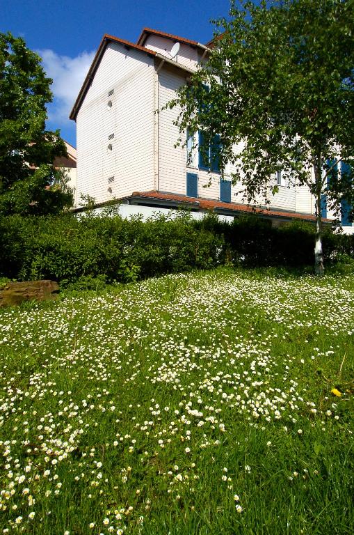 Zahrada ubytování Hotel Strasbourg - Montagne Verte & Restaurant Louisiane