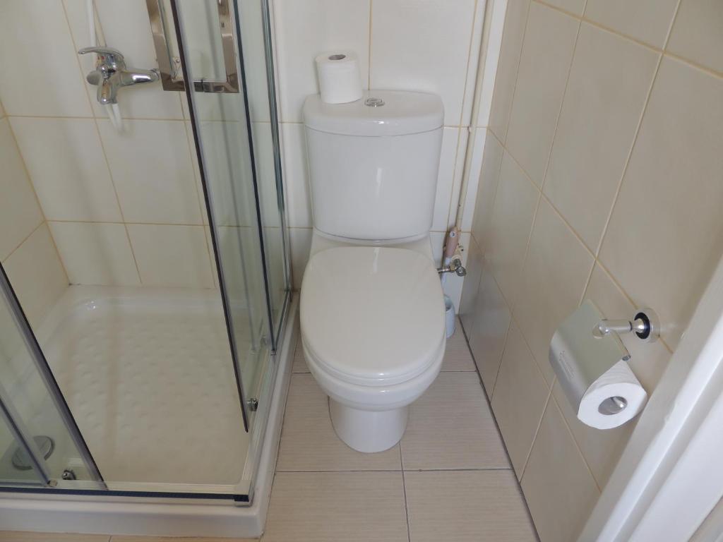 a small bathroom with a toilet and a shower at Delphi Hotel in Nicosia