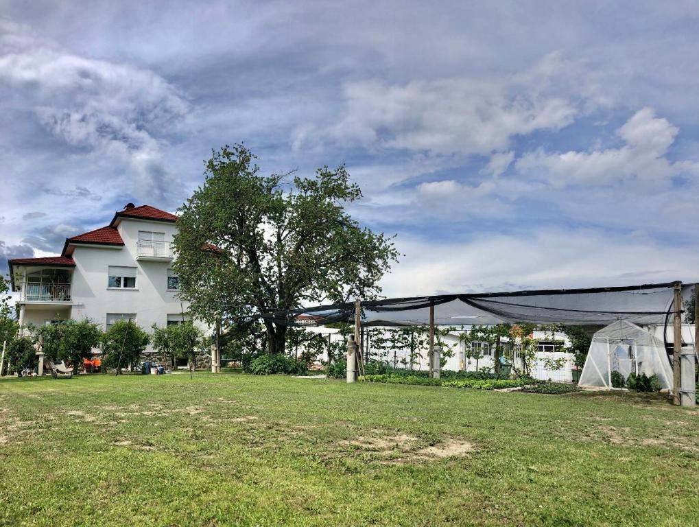Zahrada ubytování Apartments Andrej - Optuj