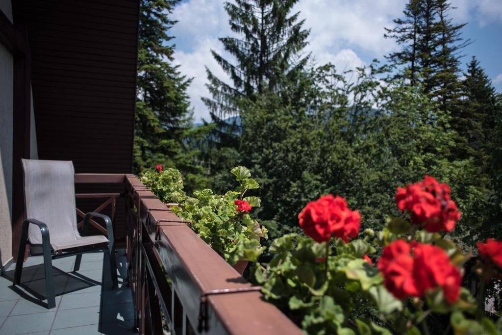 Zahrada ubytování Hotel Marami