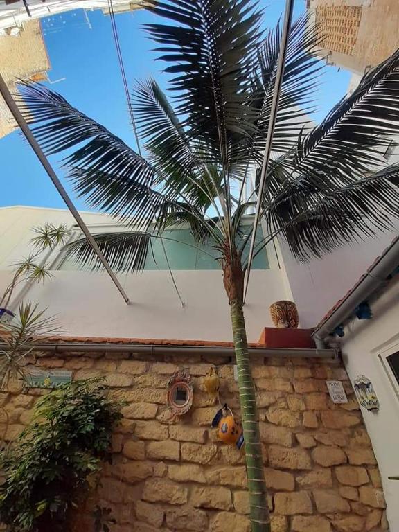 Antonio Guesthouse Alicante, Alicante – Bijgewerkte prijzen 2023