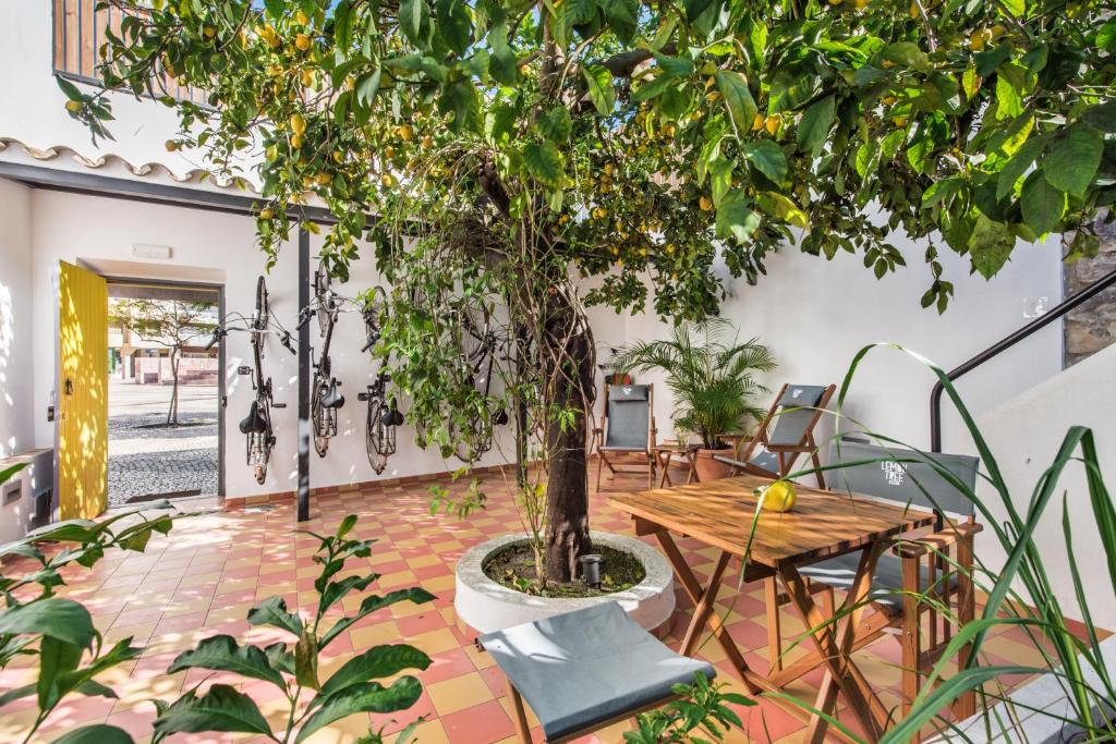 Photo of an indoor terrace with a lemon tree, chairs and a table.