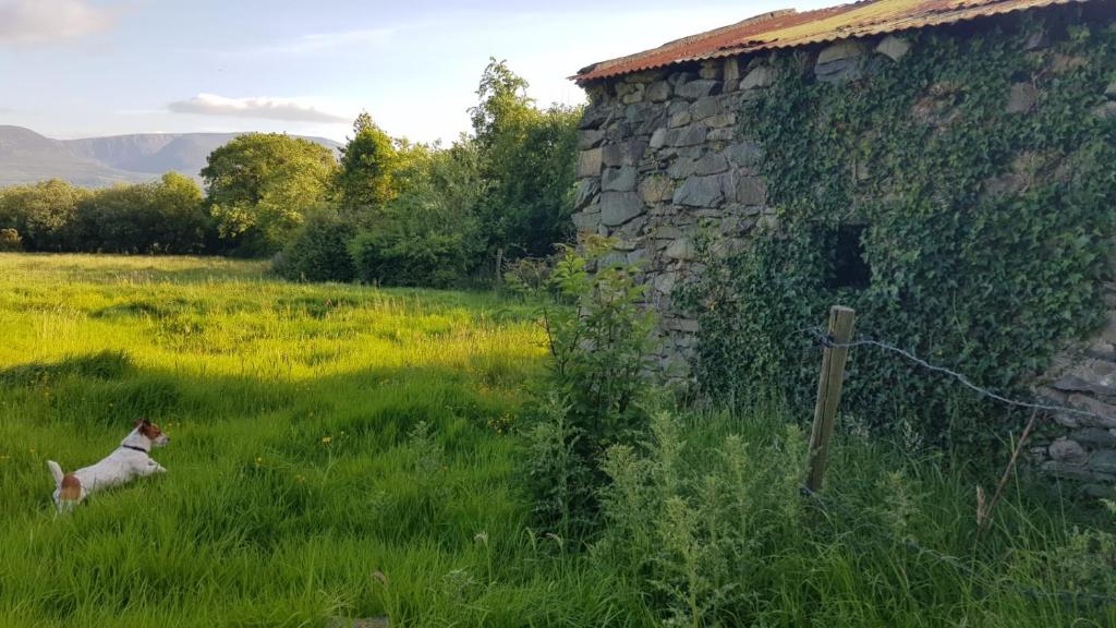 Woodford Cottage Lake View Guest House on old Farm with Forest Walks