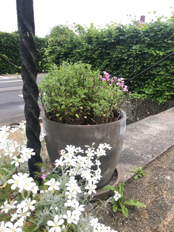 Zahrada ubytování BnB Thuroe