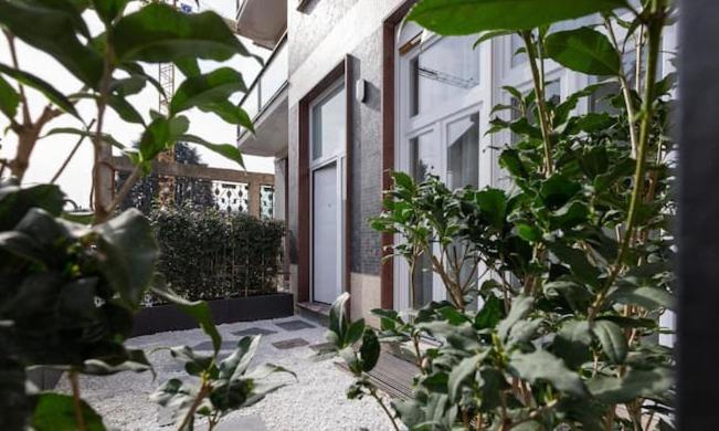 A garden outside Le bougainvillea 2