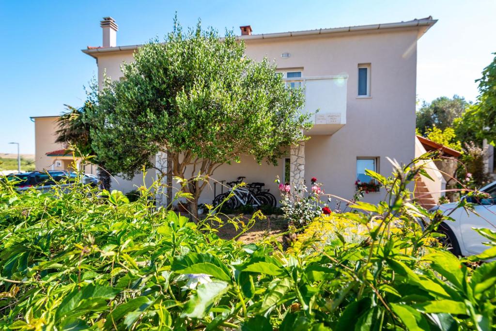 una casa con un árbol delante de ella en Apartments Milka, en Povljana