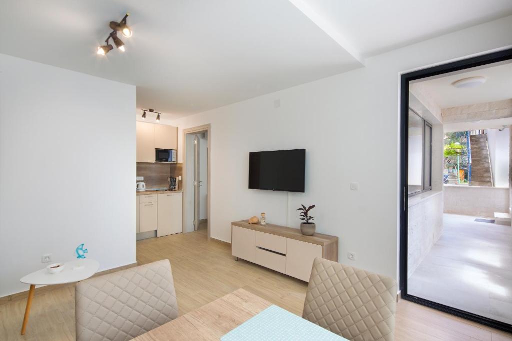 TV a/nebo společenská místnost v ubytování Apartments Djuro Rafailovic