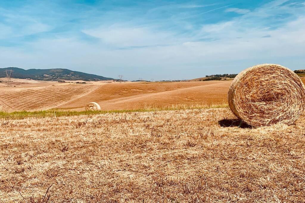 a large stack of hay in a field at Vacanze sulle colline Toscane ad un passo dal mare 