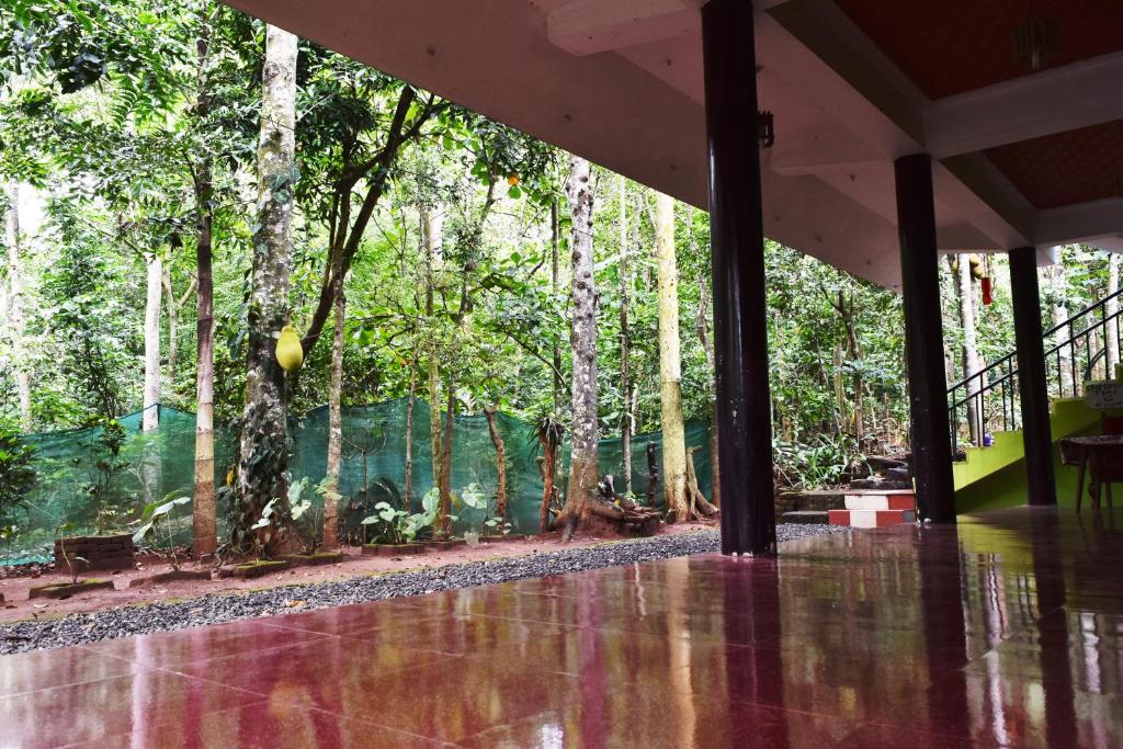 Zahrada ubytování Jungleview Home Stay