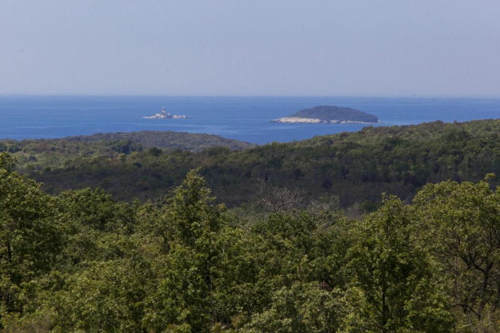 Fotografie z fotogalerie ubytování Villa Ana v destinaci Bale