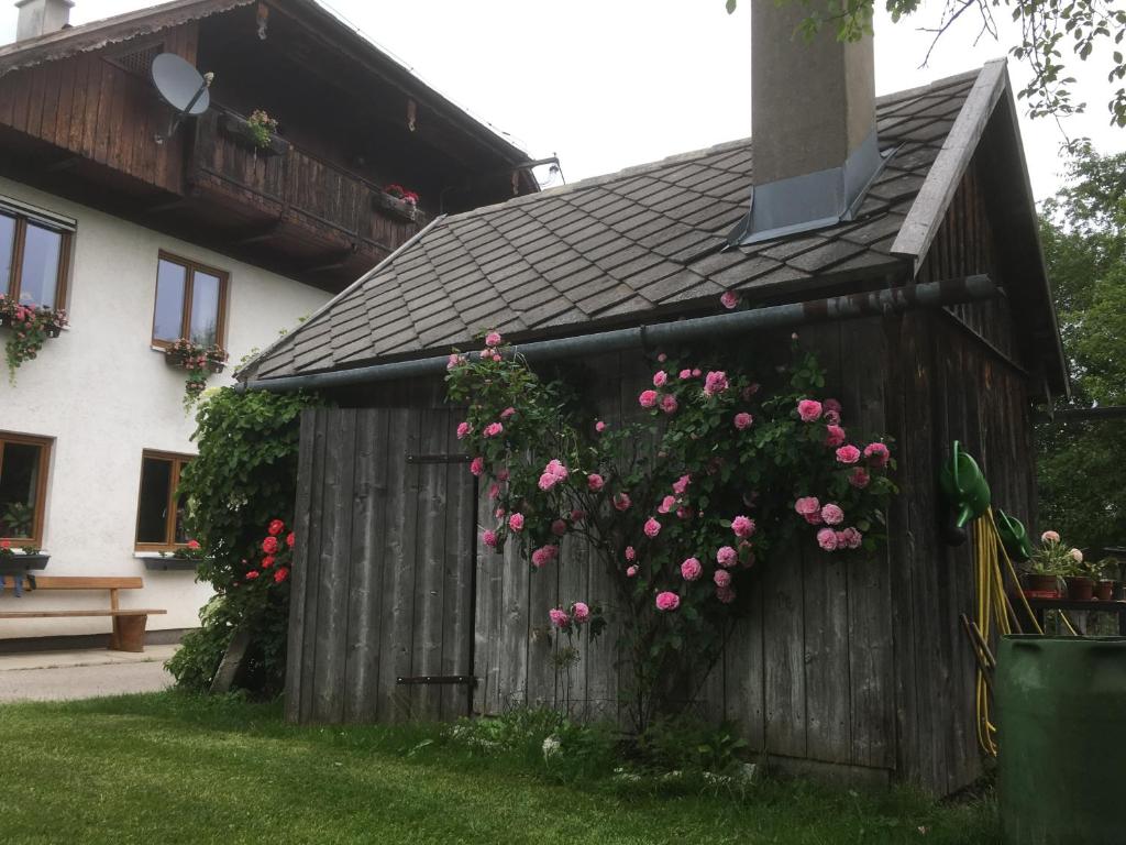 Zahrada ubytování Strauss Appartements