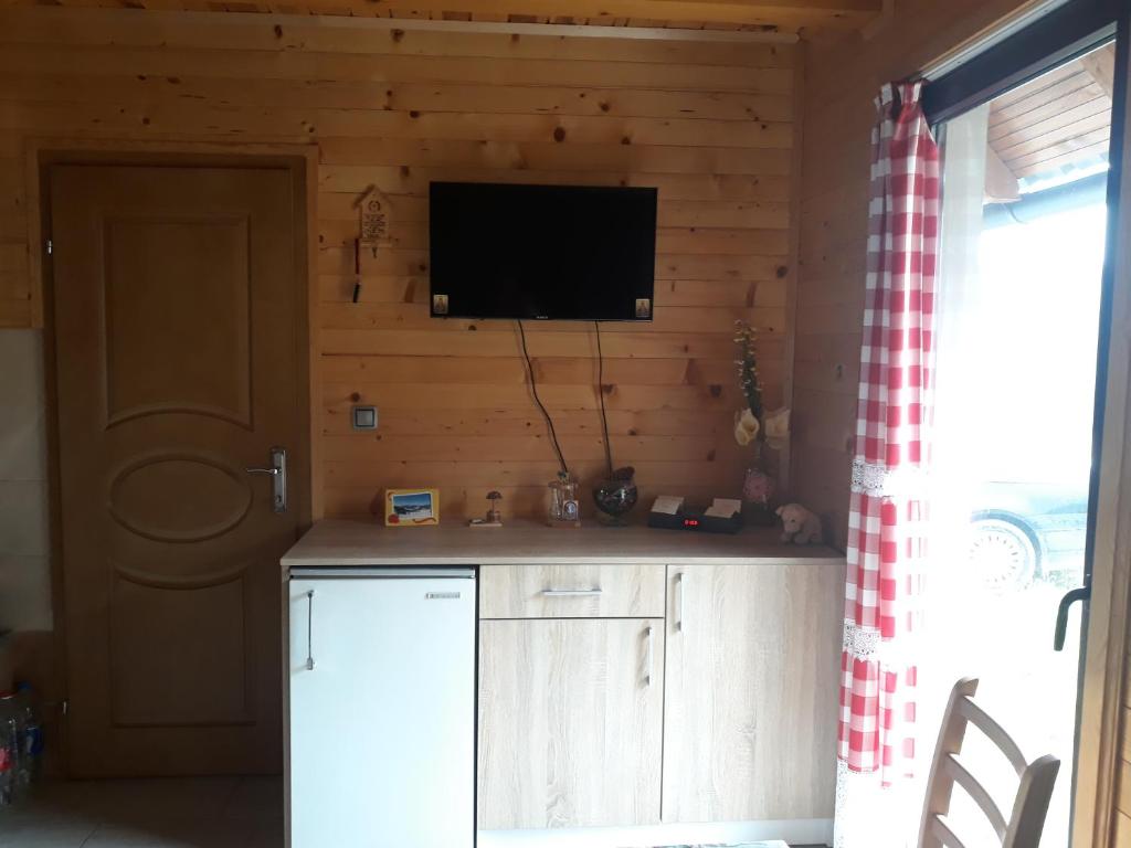 a kitchen with a refrigerator and a tv on the wall at VILA ZORANA in Bajina Bašta
