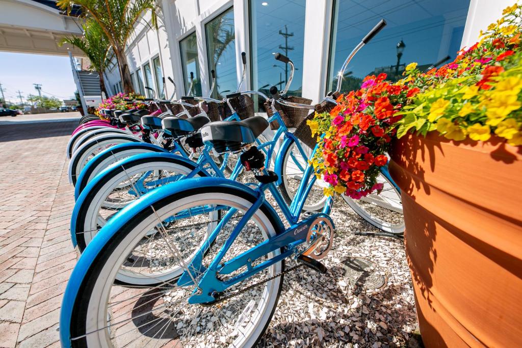 Jízda na kole v ubytování Hotel LBI nebo okolí