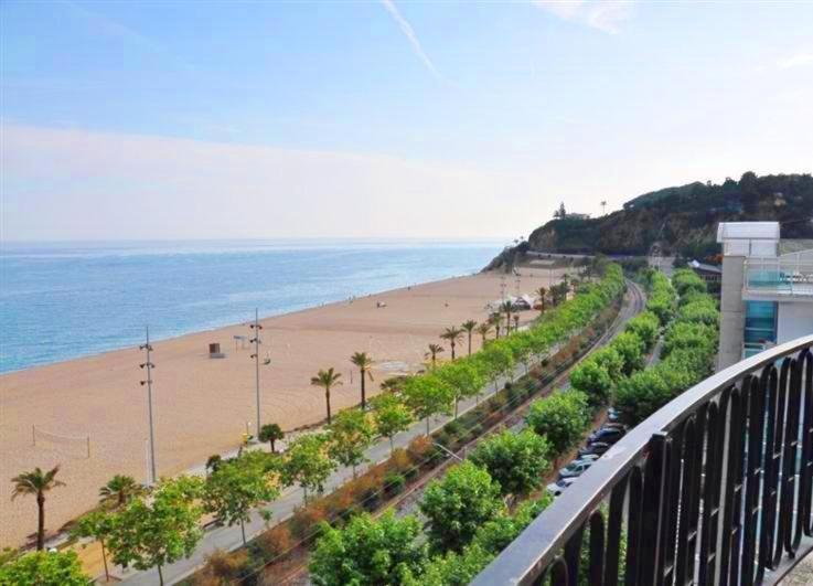 Blick auf einen Strand mit Palmen und das Meer in der Unterkunft Hotel Haromar in Calella