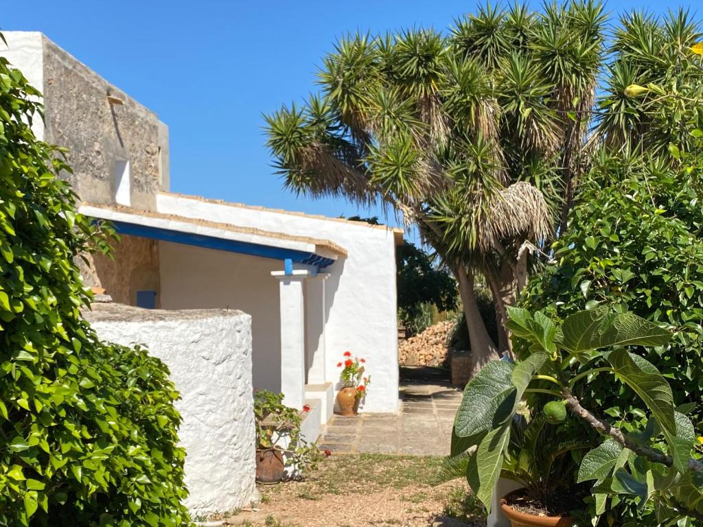 ein weißes Gebäude mit Bäumen und Palmen in der Unterkunft Can Xicu Castello in Sant Ferran de Ses Roques