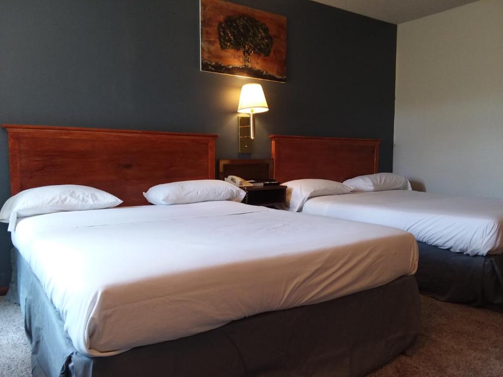 Katil atau katil-katil dalam bilik di Americas Best Value Inn Laramie