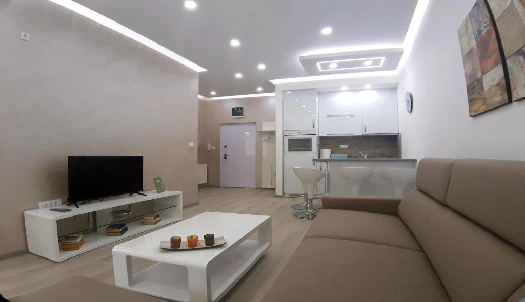 Una sala de estar con un sofá, un televisor y una mesa. en Apartment Djordje, en Banja Koviljača
