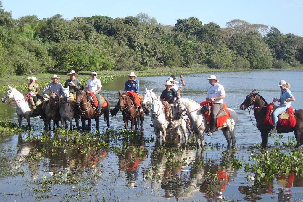  Casa da Baía: um pedaço do paraíso no Pantanal Sul