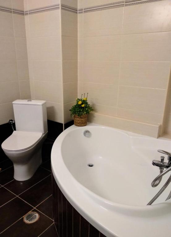 Kúpeľňa v ubytovaní The Bluehouse - Spacious top floor flat with parking, by Mon Repos beach