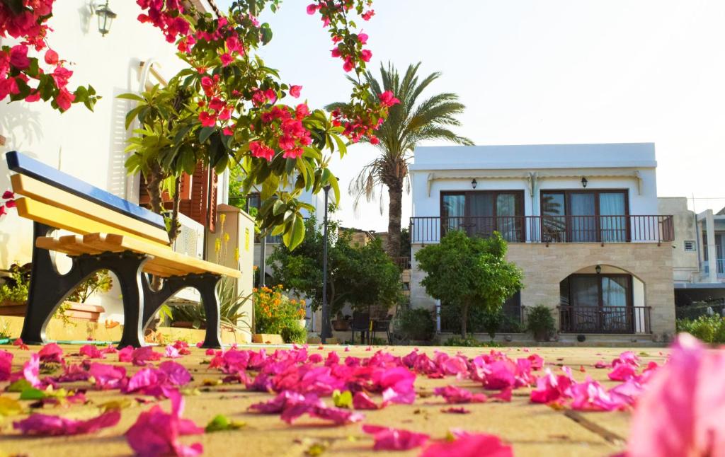 Zahrada ubytování Golden Palms Guest House & Cafe