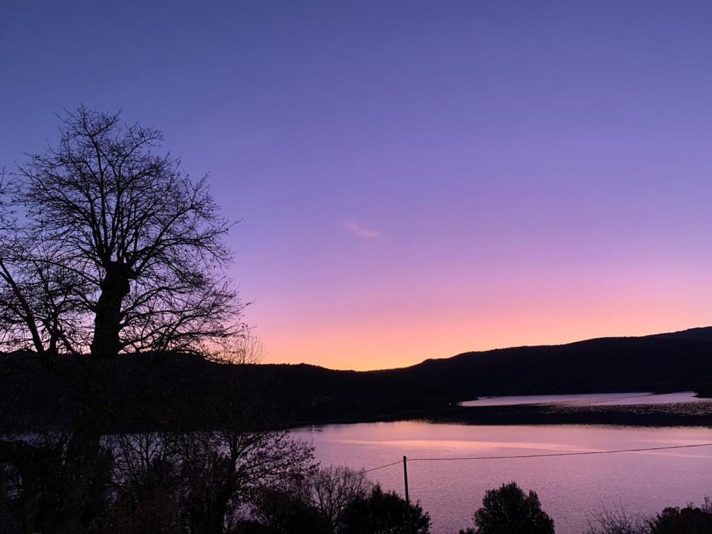 a tree in front of a lake at sunset at Hotel Ristorante Gusana in Gavoi