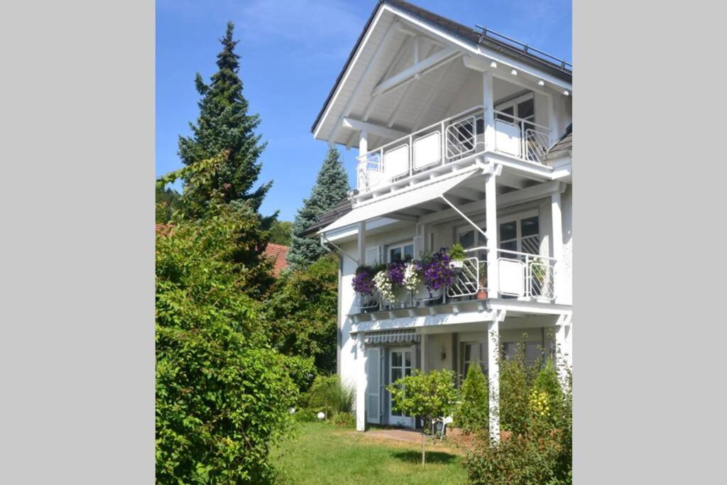 Zahrada ubytování Ferienwohnung Henrich