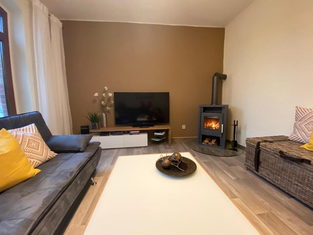a living room with a couch and a fireplace at FeWo Nietleben in Halle an der Saale
