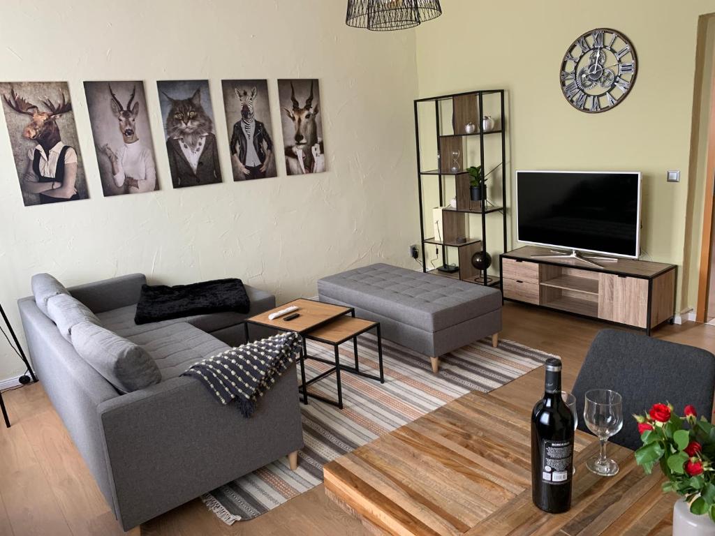 a living room with a couch and a tv at Cozy City-Apartment I Netflix I Prime I Parkplatz in Cottbus