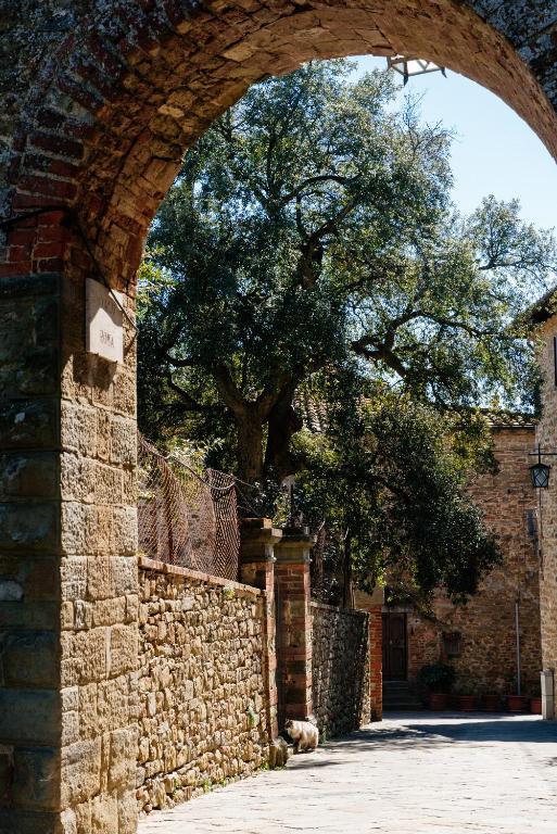 Fotografie z fotogalerie ubytování B&B Borgo di Oliveto - Appartamenti con Cucina v destinaci Civitella in Val di Chiana
