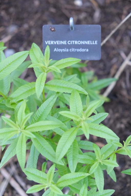 Eklo Bordeaux Centre Bastide - Resim 25