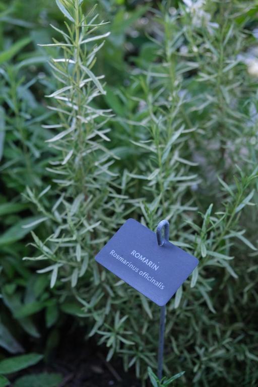 Eklo Bordeaux Centre Bastide - Resim 26