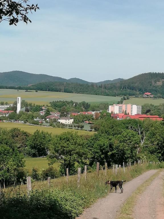 Příroda nedaleko apartmánu