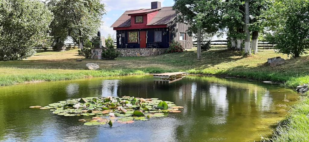 a house with a pond with lilies in front of it at House in nature in Varėna